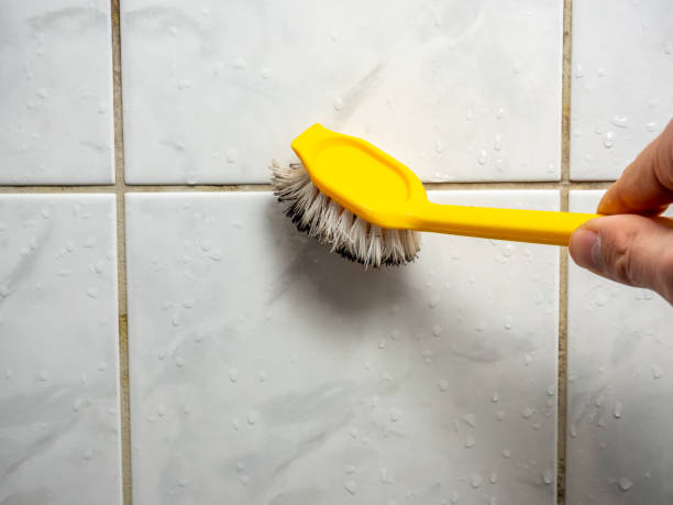 Best Home Mold Removal  in Saxon, SC
