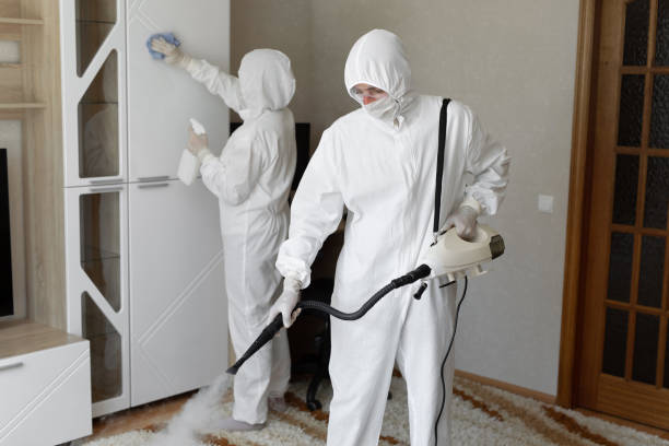 Best Professional Mold Removal  in Saxon, SC