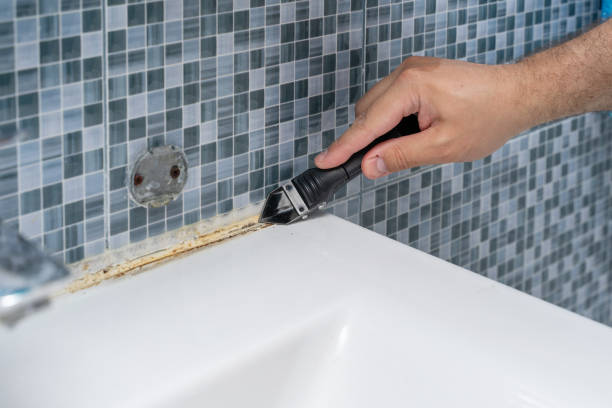 Best Fast Mold Removal  in Saxon, SC