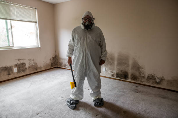 Best Mold Testing  in Saxon, SC